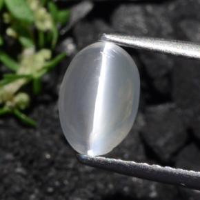 1.40克拉天然硅线石猫眼，椭圆形切割，透明