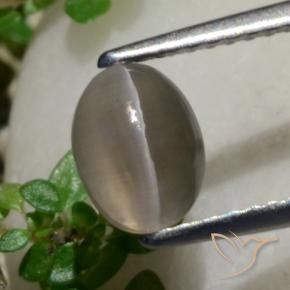 1.80克拉天然硅线石猫眼，椭圆形，半透明