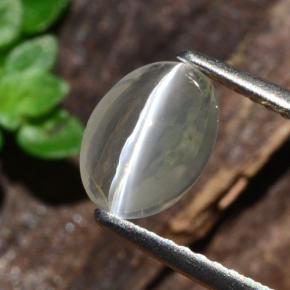 1.14克拉天然硅线石猫眼，椭圆形切割，透明