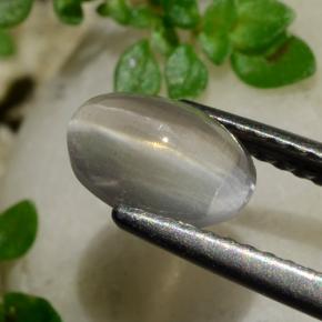 1.20克拉天然硅线石猫眼，椭圆形切割，透明