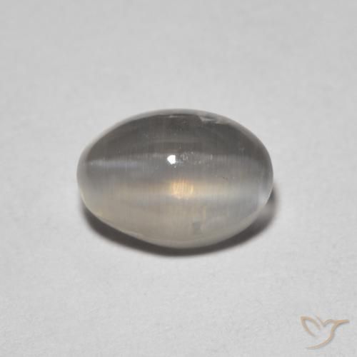 1.64ct 天然 非常浅灰色 硅线石猫眼, 椭圆形, 透明