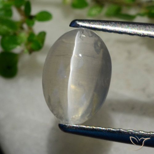 1.40克拉天然硅线石猫眼，椭圆形，透明