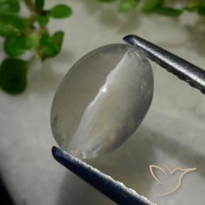 1.40克拉天然硅线石猫眼，椭圆形，透明