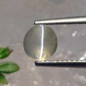 1.56克拉天然灰色Sillimanite Cat's Eye，圆形切割，6.22毫米，半透明