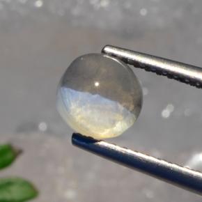 1.56克拉天然灰色Sillimanite Cat's Eye，圆形切割，6.22毫米，半透明