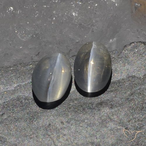 1.97ctw 天然 非常浅灰色 硅线石猫眼, 椭圆形, 半透明