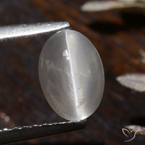 1.58ct 天然 暖白 硅线石猫眼, 椭圆形, 透明