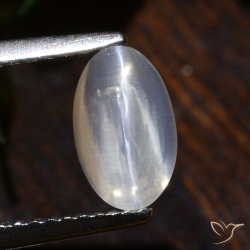 1.75ct 天然 清除 硅线石猫眼, 椭圆形, 透明