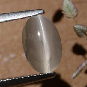 1.40克拉天然硅线石猫眼，椭圆形切割，半透明
