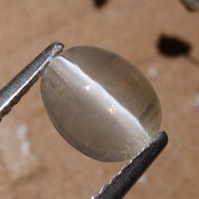 1.44克拉天然硅线石猫眼，椭圆形切割，半透明