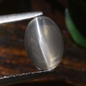 1.40克拉天然硅线石猫眼，椭圆形切割，半透明