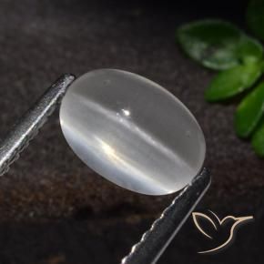1.51克拉天然硅线石猫眼，椭圆形，透明