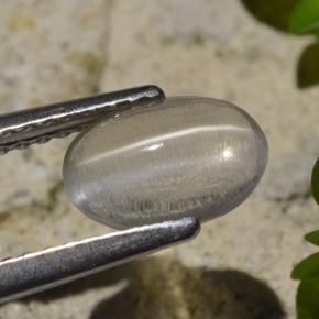 1.45克拉天然硅线石猫眼，椭圆形切割，透明