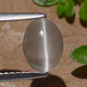 1.29克拉天然硅线石猫眼，椭圆形切割，透明