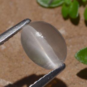 1.29克拉天然硅线石猫眼，椭圆形切割，透明