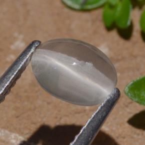 1.29克拉天然硅线石猫眼，椭圆形切割，透明