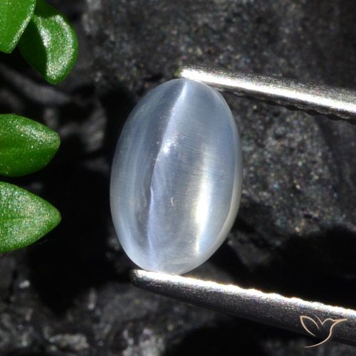 1.70ct 天然 清除 硅线石猫眼, 椭圆形, 透明