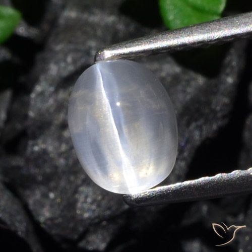 1.61ct 天然 清除 硅线石猫眼, 椭圆形, 透明