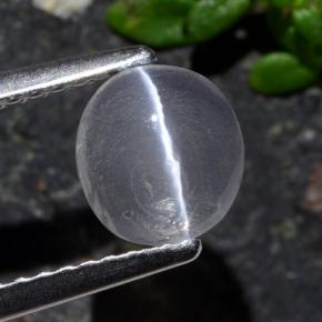 1.03克拉天然灰色Sillimanite Cat's Eye，椭圆形切割，6.8×6.3毫米，透明