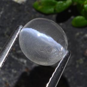 1.03克拉天然灰色Sillimanite Cat's Eye，椭圆形切割，6.8×6.3毫米，透明