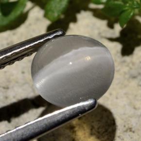 1.59克拉天然硅线石猫眼，圆形切割，透明