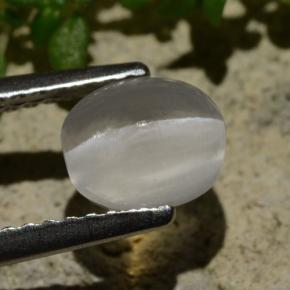 1.57克拉天然硅线石猫眼，椭圆形切割，透明