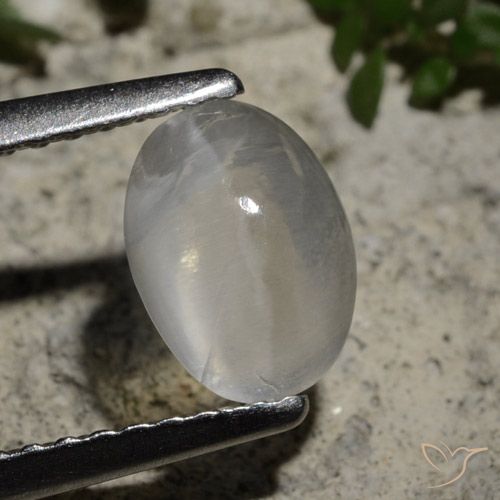 1.44ct 天然 清晰的白色 硅线石猫眼, 椭圆形, 透明