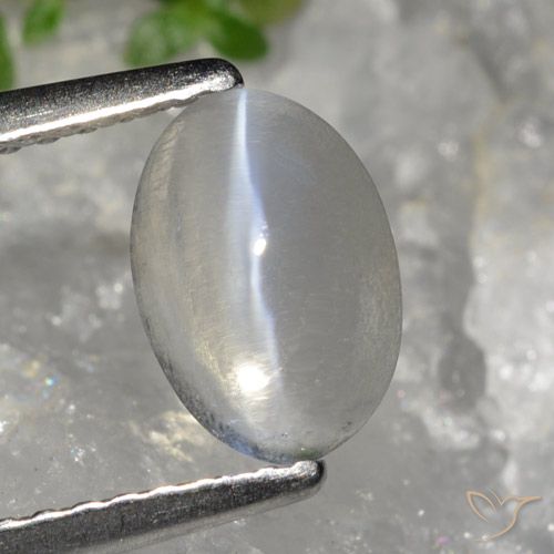 1.49ct 天然 非常浅灰色 硅线石猫眼, 椭圆形, 透明