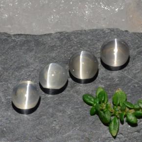 3.82天然白色Sillimanite Cat's Eye，椭圆形切割，5.7×5.1毫米，透明