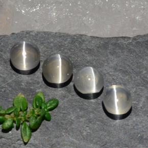 3.82天然白色Sillimanite Cat's Eye，椭圆形切割，5.7×5.1毫米，透明