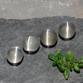 3.82天然白色Sillimanite Cat's Eye，椭圆形切割，5.7×5.1毫米，透明