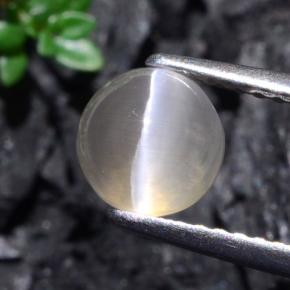 1.74克拉天然灰色Sillimanite Cat's Eye，圆形切割，6.38毫米，半透明