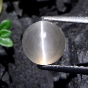 1.74克拉天然灰色Sillimanite Cat's Eye，圆形切割，6.38毫米，半透明