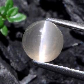 1.74克拉天然灰色Sillimanite Cat's Eye，圆形切割，6.38毫米，半透明