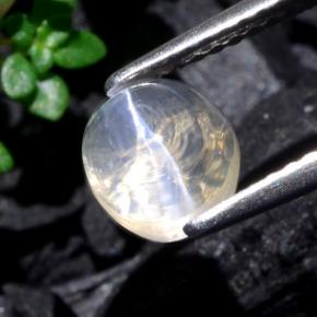 1.93克拉天然白色Sillimanite Cat's Eye，椭圆形切割，6.7×6.2毫米，透明