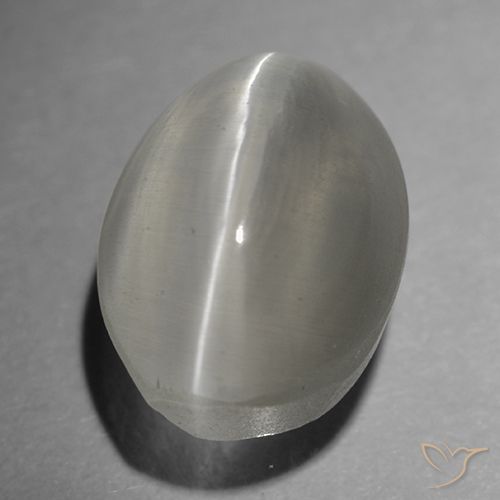 1.65克拉天然灰色猫眼矽线石，椭圆形切割，7.5×5.7毫米，透明