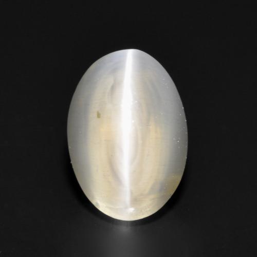 1.17克拉天然灰色Sillimanite Cat's Eye，椭圆形切割，7×4.9毫米，透明