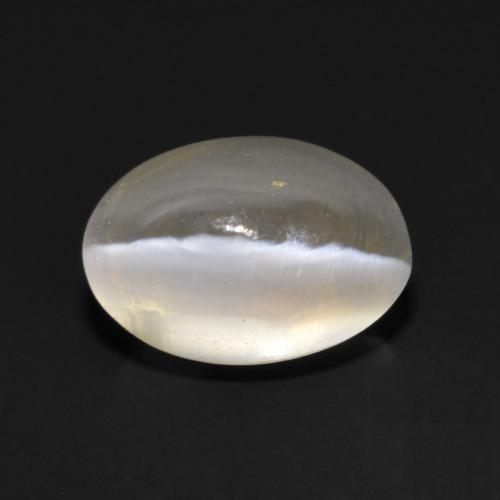 1.17克拉天然灰色Sillimanite Cat's Eye，椭圆形切割，7×4.9毫米，透明