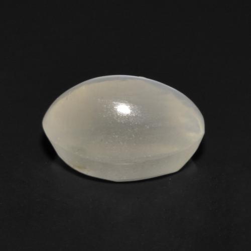 1.17克拉天然灰色Sillimanite Cat's Eye，椭圆形切割，7×4.9毫米，透明