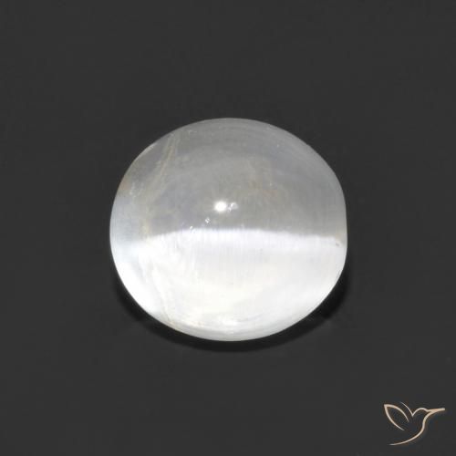 1.48ct 天然 清晰的白色 硅线石猫眼, 椭圆形, 透明
