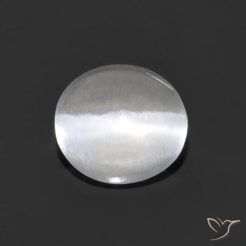 1.16ct 天然 清晰的白色 硅线石猫眼, 椭圆形, 透明