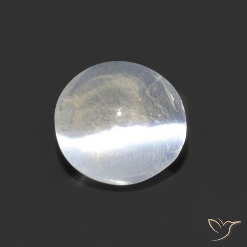 1.29ct 天然 清晰的白色 硅线石猫眼, 椭圆形, 透明