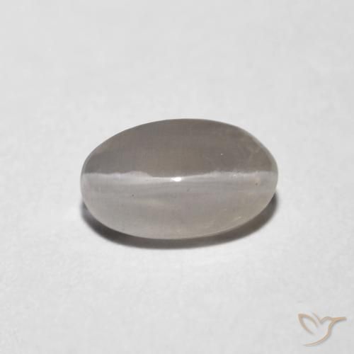 1.06ct 天然 非常浅灰色 硅线石猫眼, 椭圆形, 透明