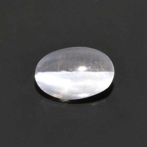0.75克拉天然灰色Sillimanite Cat's Eye，椭圆形切割，6.5×4.3毫米，透明