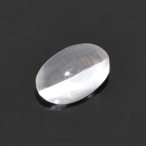 0.75克拉天然灰色Sillimanite Cat's Eye，椭圆形切割，6.5×4.3毫米，透明