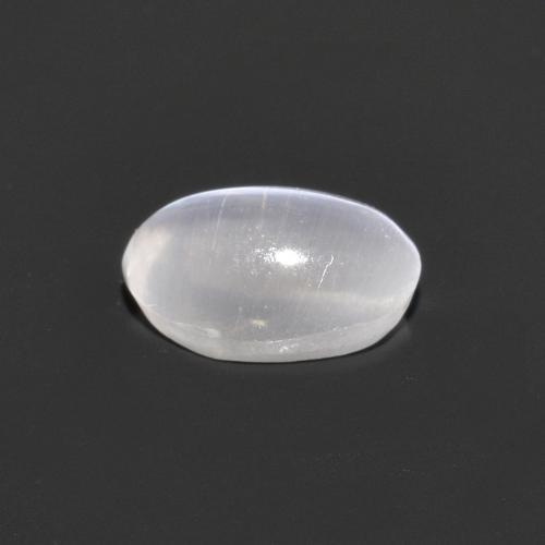 0.75克拉天然灰色Sillimanite Cat's Eye，椭圆形切割，6.5×4.3毫米，透明