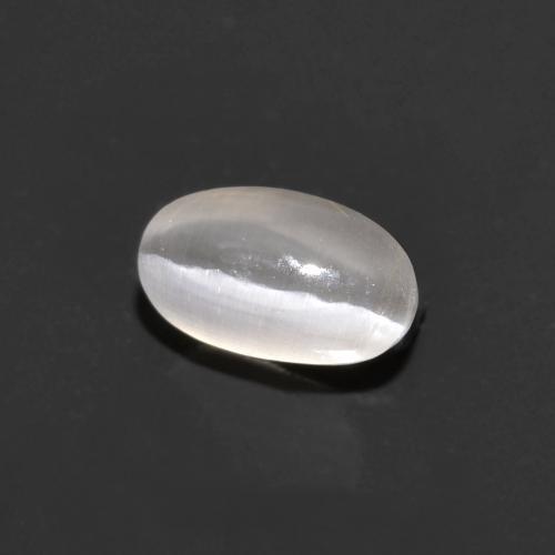 0.76克拉天然灰色Sillimanite Cat's Eye，椭圆形切割，6.1×3.6毫米，透明