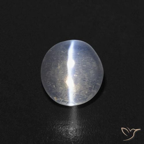 0.85ct 天然 清除 硅线石猫眼, 椭圆形, 透明