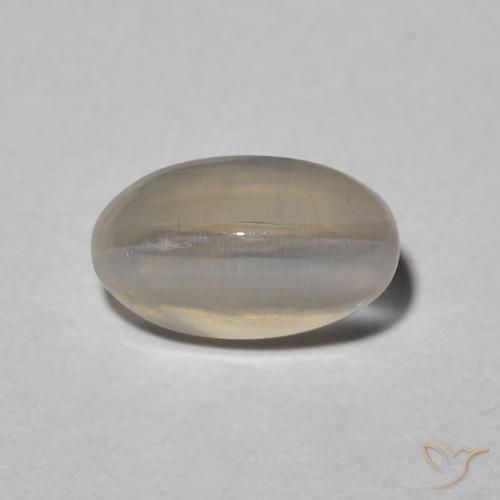 1.31ct 天然 Warm Grey 硅线石猫眼, 椭圆形, 半透明
