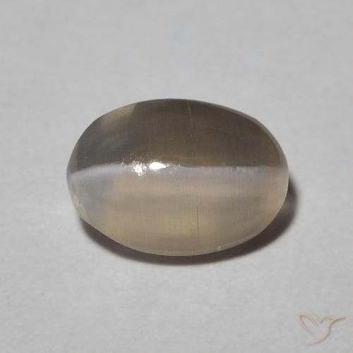 1.09ct 天然 Warm Grey 硅线石猫眼, 椭圆形, 半透明
